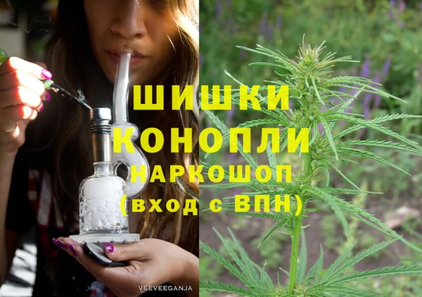 хмурый Бородино