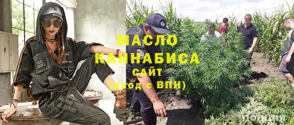 хмурый Бородино