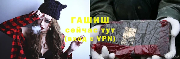 хмурый Бородино