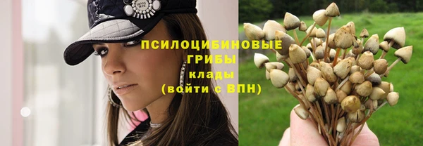 не бодяженный Бронницы