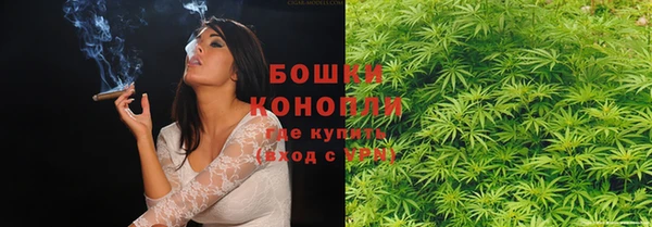 прущие крисы Беломорск