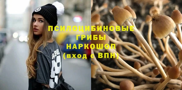 a pvp Новочеркасск
