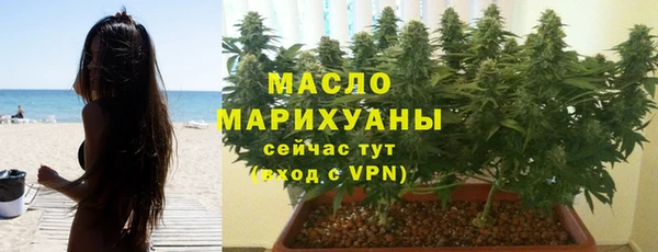 хмурый Бородино
