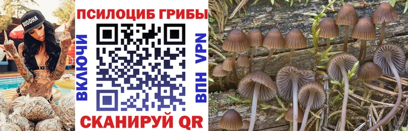 Галлюциногенные грибы GOLDEN TEACHER  закладка  blacksprut зеркало  Гудермес 